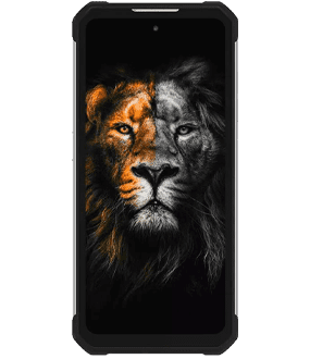 Ремонт Oukitel WP17 в Санкт-Петербурге