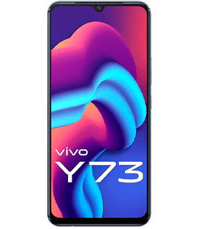 Ремонт Vivo Y73 в Санкт-Петербурге